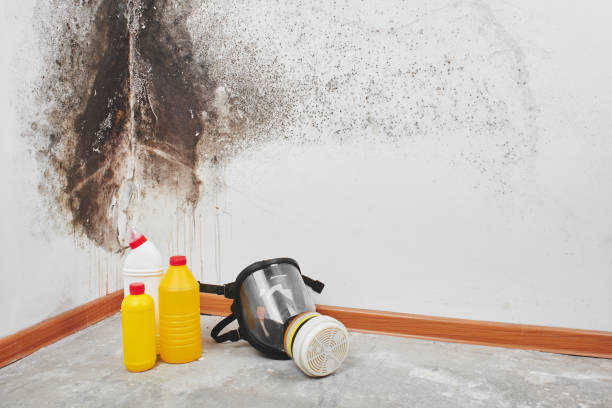 Best Post-Remediation Services in Altamont, KS
